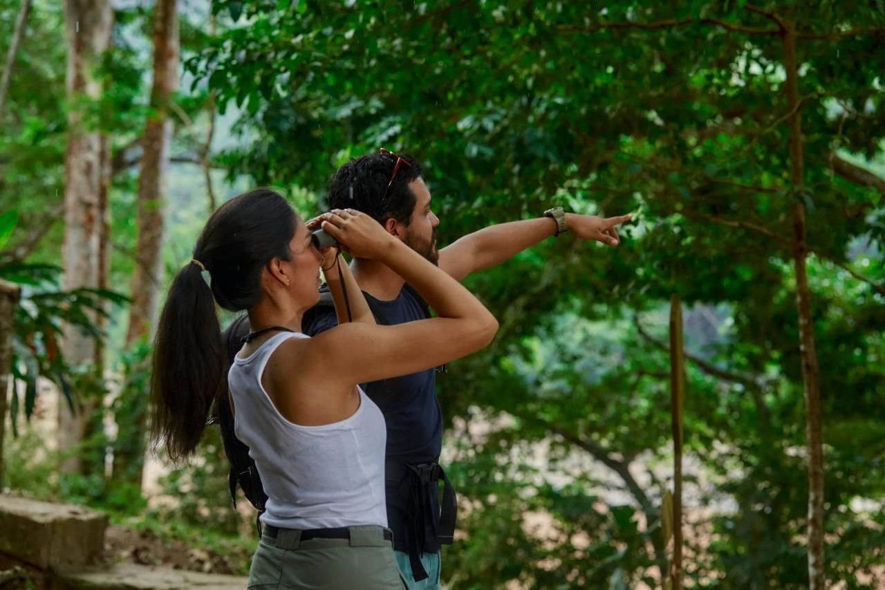 Pumarinri Amazon Lodge Tarapoto Exterior photo